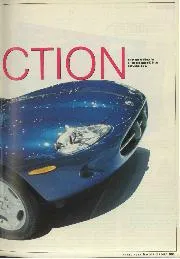 Spring Collection - Right