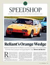 Reliant’s Orange Wedge - Left