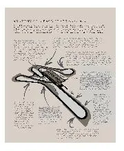 Tracks of the trade - Right