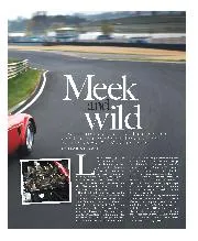 Meek and Wild - Left