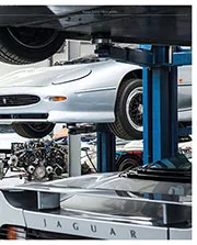 Age shall not wither - Right