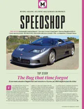 The Bug that time forgot - Left