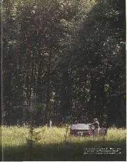 TRACK TESTS SOLITUDE - Right