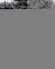 Track test -- Monsanto Park - Right