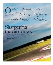 Sharpening the cat's claws - Left