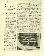 Veteran Types XXVIII - Left