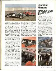 Champion Morgans - Left