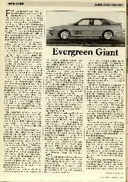 Evergreen Giant - Left