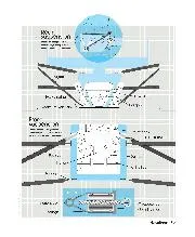 Race suspension - Left