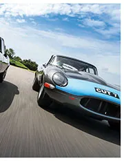 Sibling revelry - Right