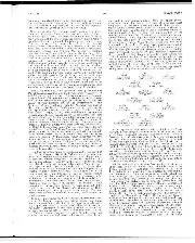1960 Dutch Grand Prix race report: Brabham throws kitchen sink (and more) at Moss to win - Right