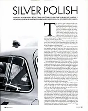 Silver polish - Right