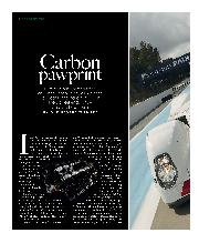 Carbon Paw Print - Left