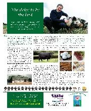 The Brickyard comes to Goodwood - Right