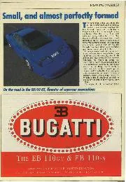 Small, and almost perfectly formed - Left