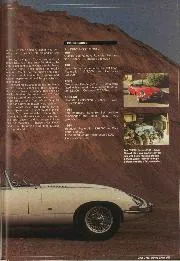 Just the type - Right