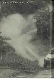 Tropical Paradise - Left