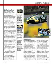 Mud flies in the forest - Left