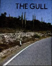 The gull of Mexico - Left