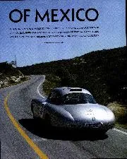 The gull of Mexico - Right