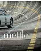 Precious mettle - Right