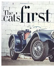 The cat's first growl - Left