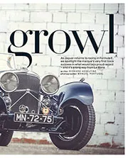 The cat's first growl - Right