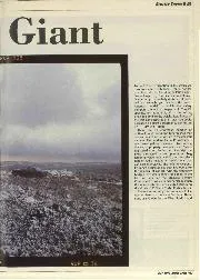 Gentle giant - Right