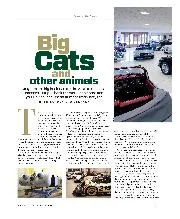 Big Cats and other animals - Left