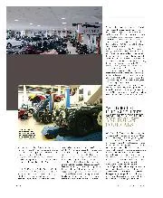 Big Cats and other animals - Right