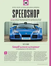Small screen screamer - Left