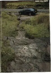 Civil service - Right