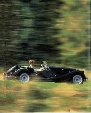 Old mog, new tricks - Left