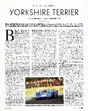 Yorkshire terrier - Left