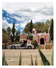 A Gullwing and a prayer - Left