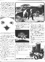 october-1976 - Page 43
