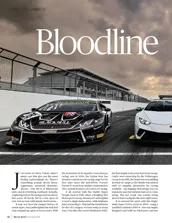 Trio of Lambos - Left