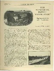 THE WONDERFUL FRENCH