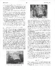 Those Maseratis from Australia  - Left