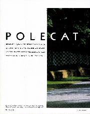 Polecat - Left