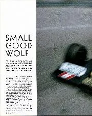 SMALL GOOD WOLF - Left