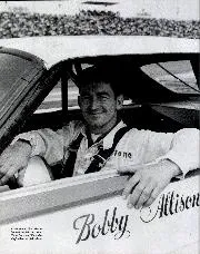 Bobby Allison: stars & swipes - Left