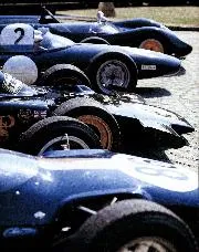 Collector Alistair Morrison - Right